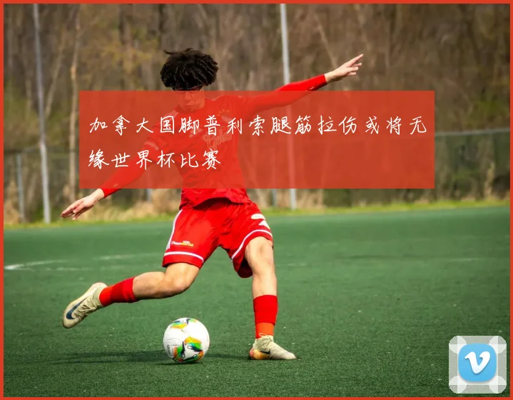 加拿大国脚普利索腿筋拉伤或将无缘世界杯比赛